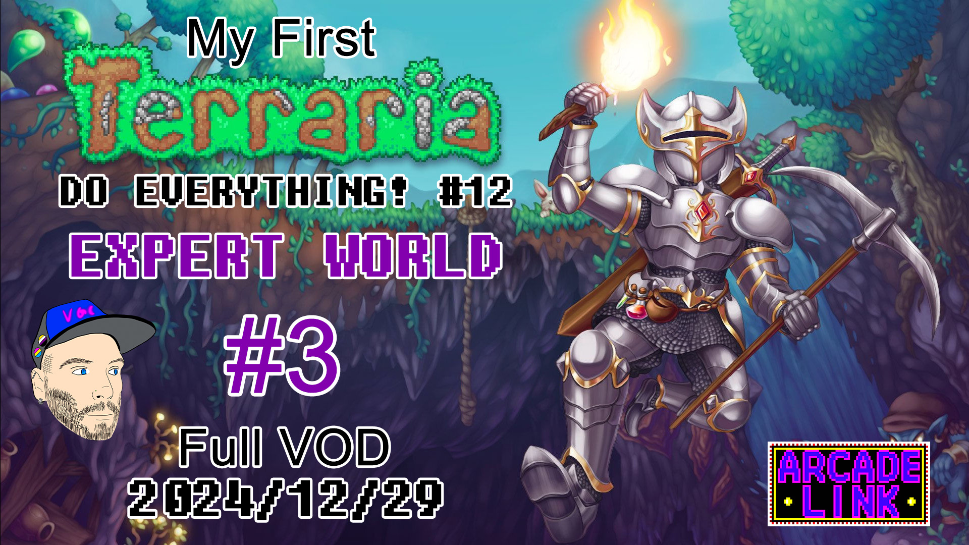 Thumbnail for a Terraria stream VOD