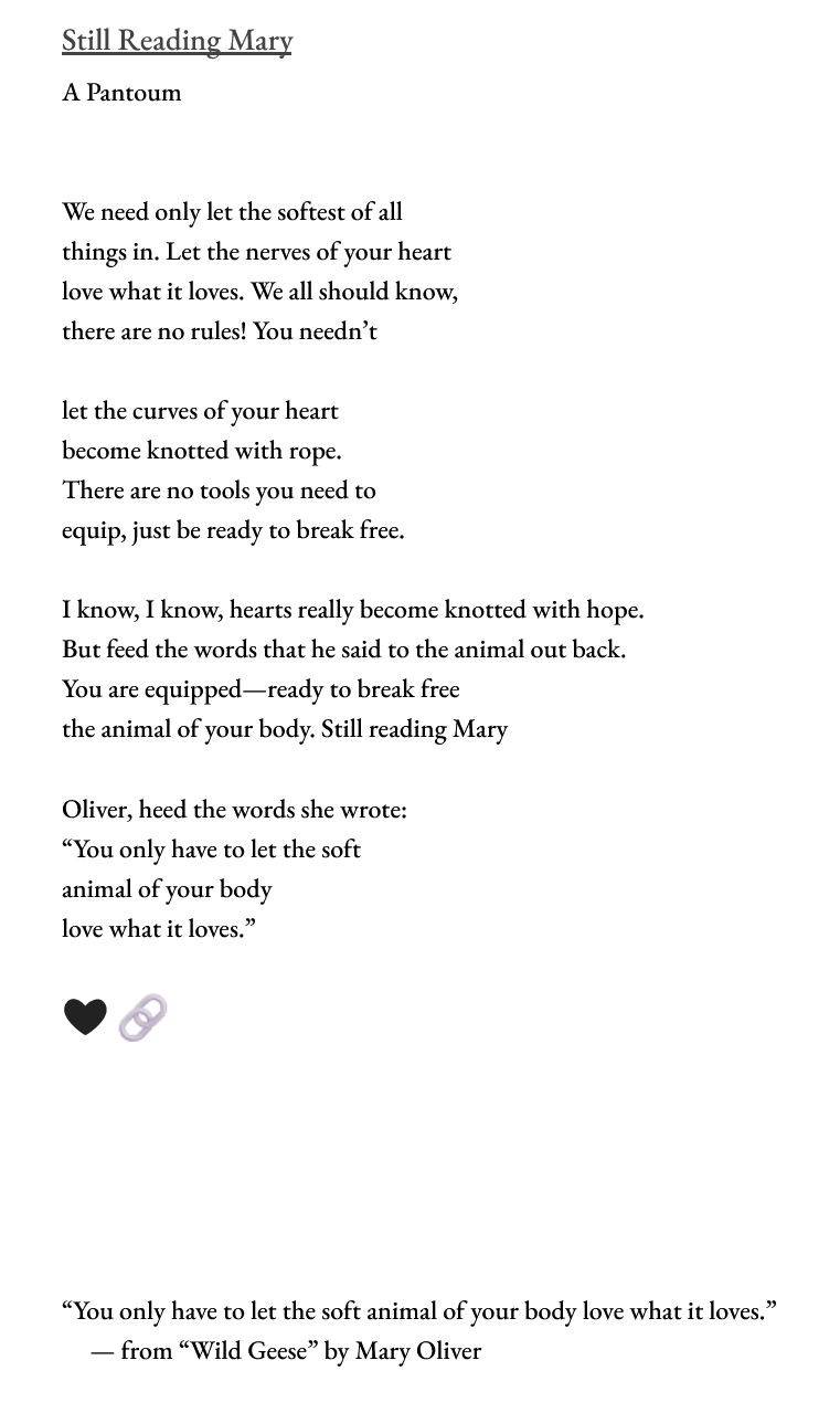 Excerpt 1