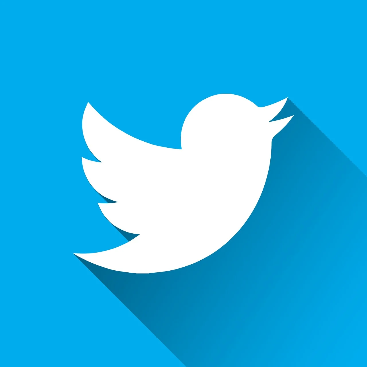 Twitter Logo